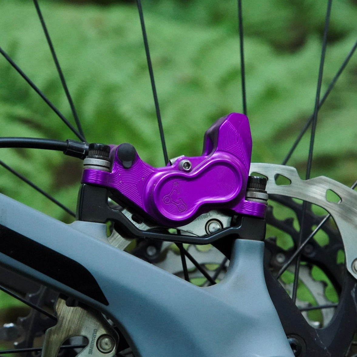  gmsp 2 fl oz aceite mineral de sistema de freno de bicicleta,  bicicletas de montaña ciclismo líquido para Shimano. : Deportes y  Actividades al Aire Libre